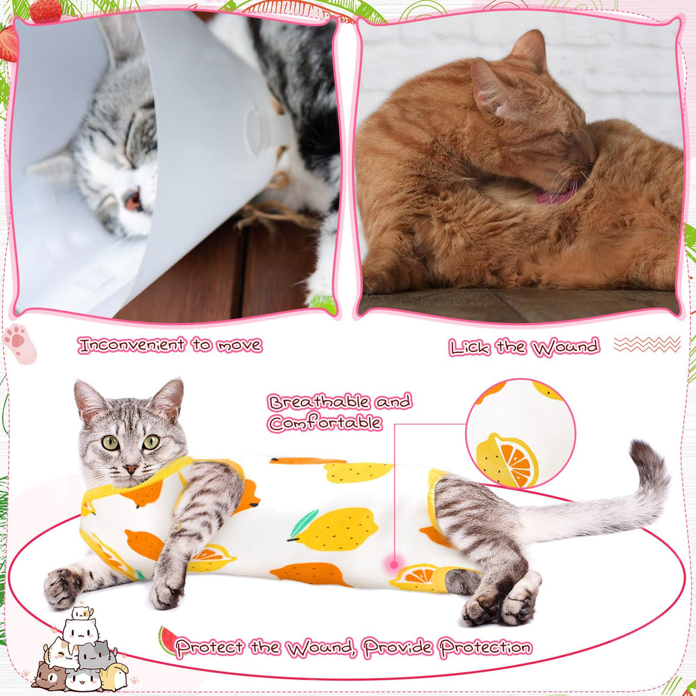 Nuanchu comparaison taille medium indicação adaptée pour chats moyens