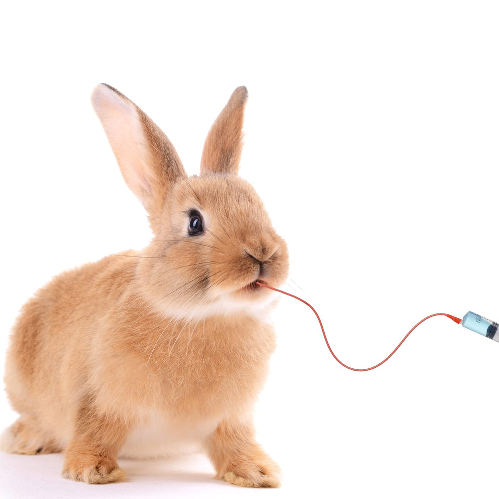 Nuanchu comparaison d'échelle montrant taille adaptée petits animaux