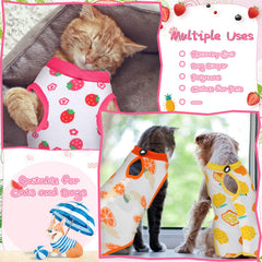 Nuanchu ouverture dorsale facilitant l'habillage rapide du chat