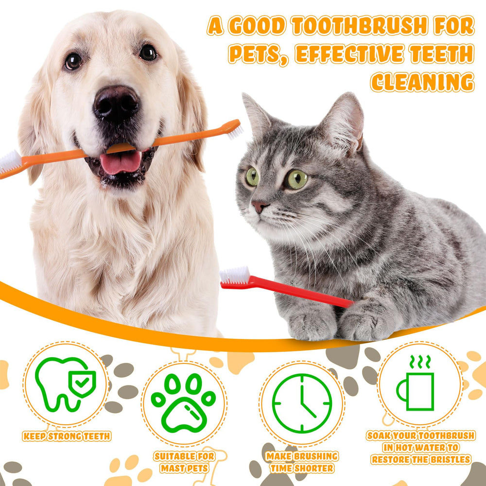Nuenen brossette utilisée sur un chien illustrant facilité d’utilisation