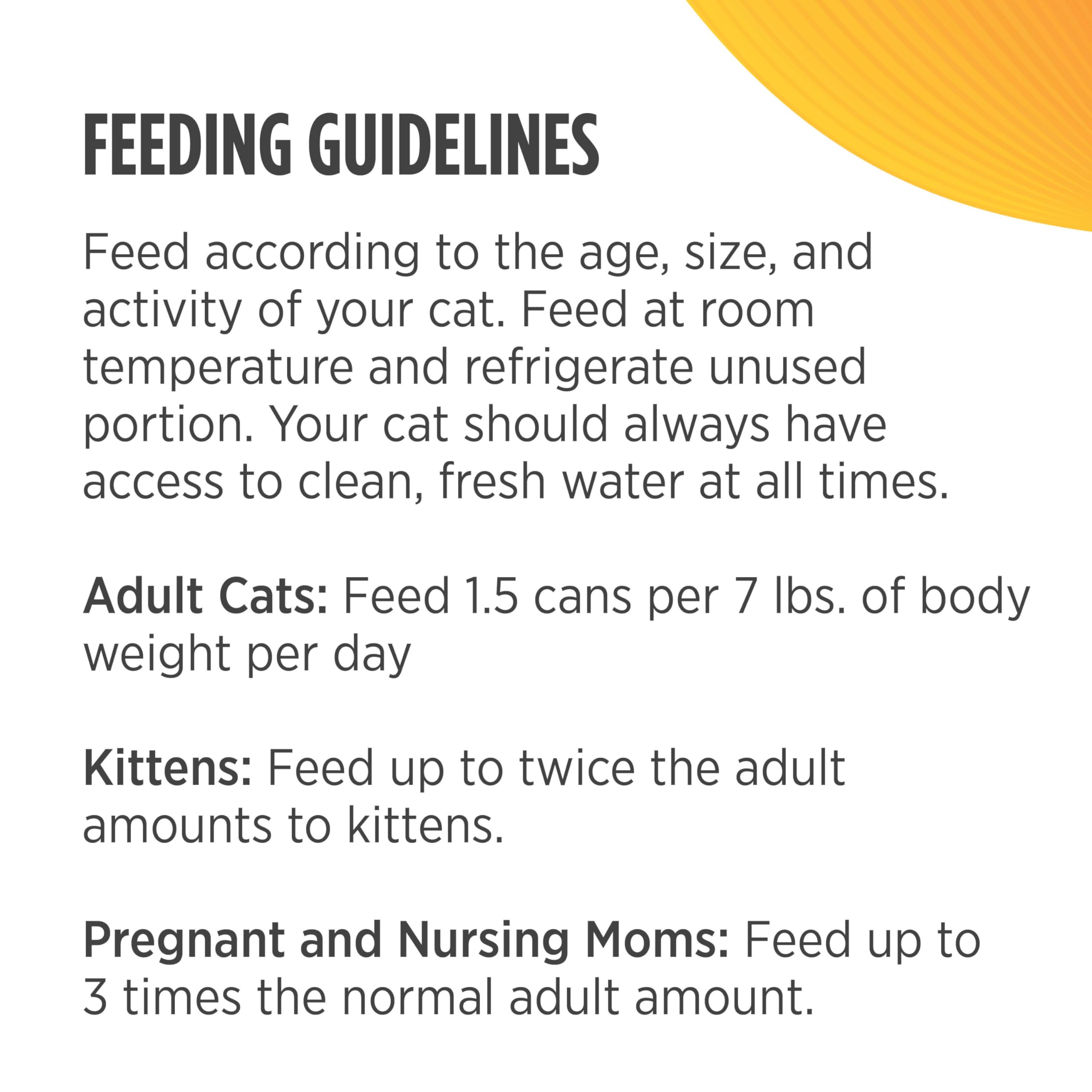 Nulo chat mange pâté sur sol de cuisine mettant en avant appétence