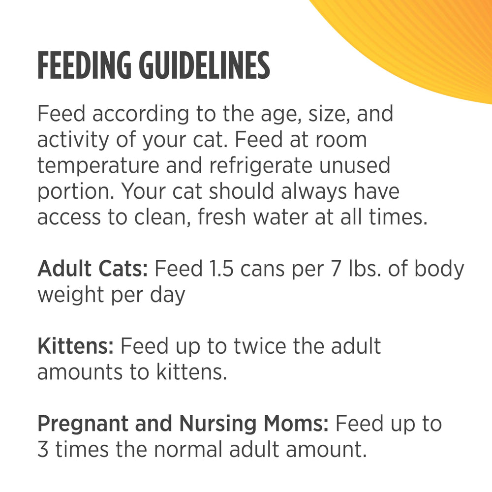 Nulo chat mange pâté sur sol de cuisine mettant en avant appétence