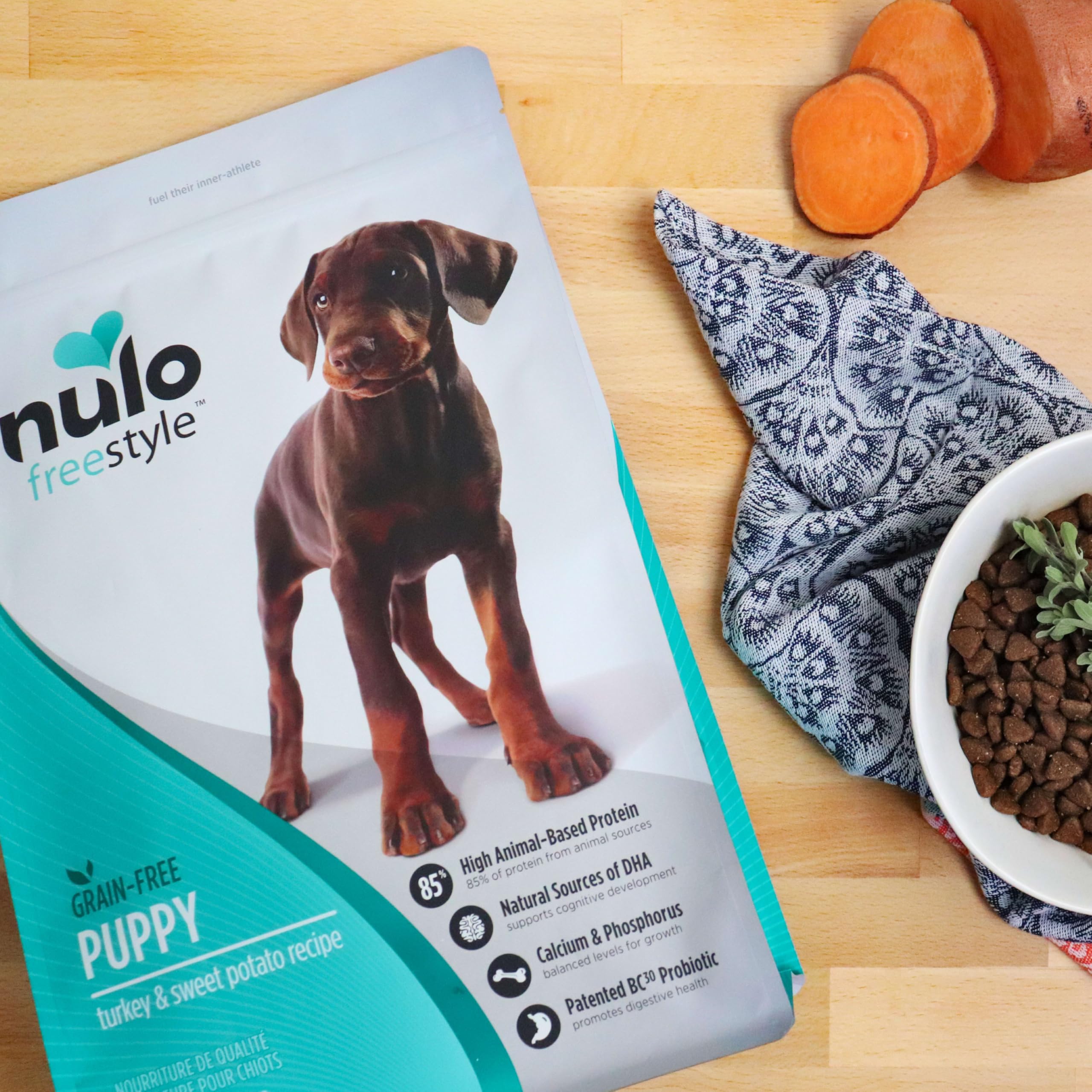 nulo chiot avec pelage brillant après alimentation régulière