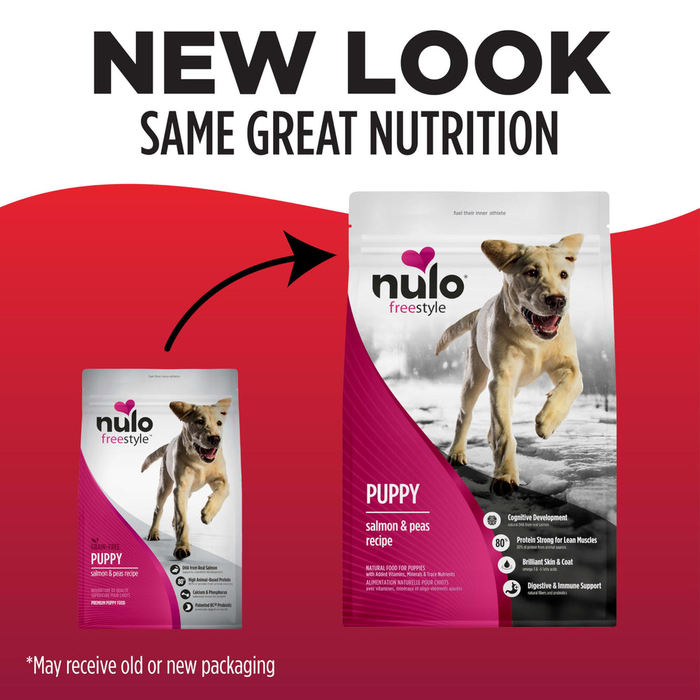 Nulo gros plan croquette montrant texture et digestibilité améliorée