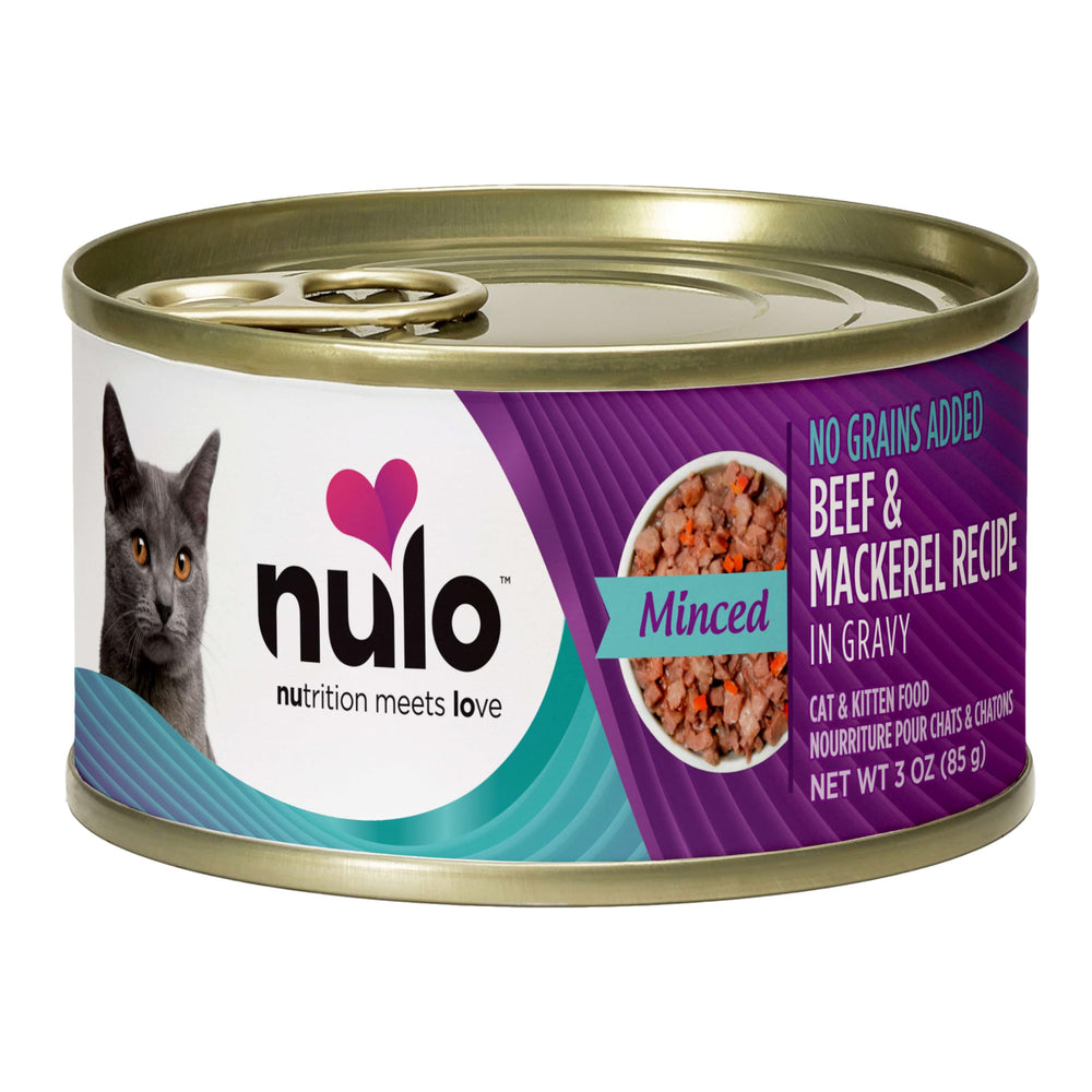 Nulo chat mange en cuisine montrant plaisir alimentaire et interaction quotidienne
