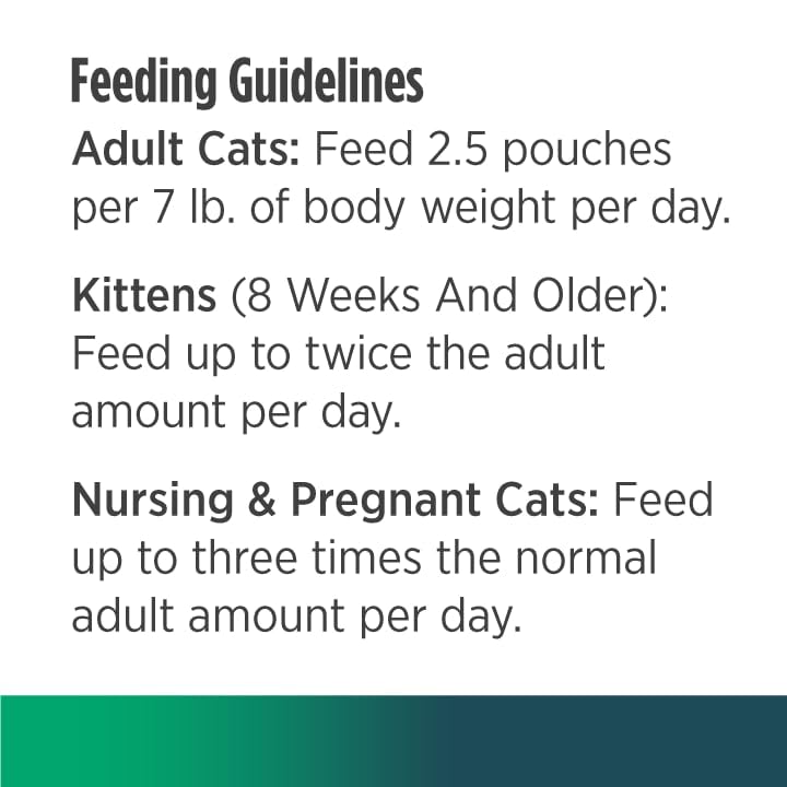 Nulo chat qui mange montrant plaisir et tolérance digestive