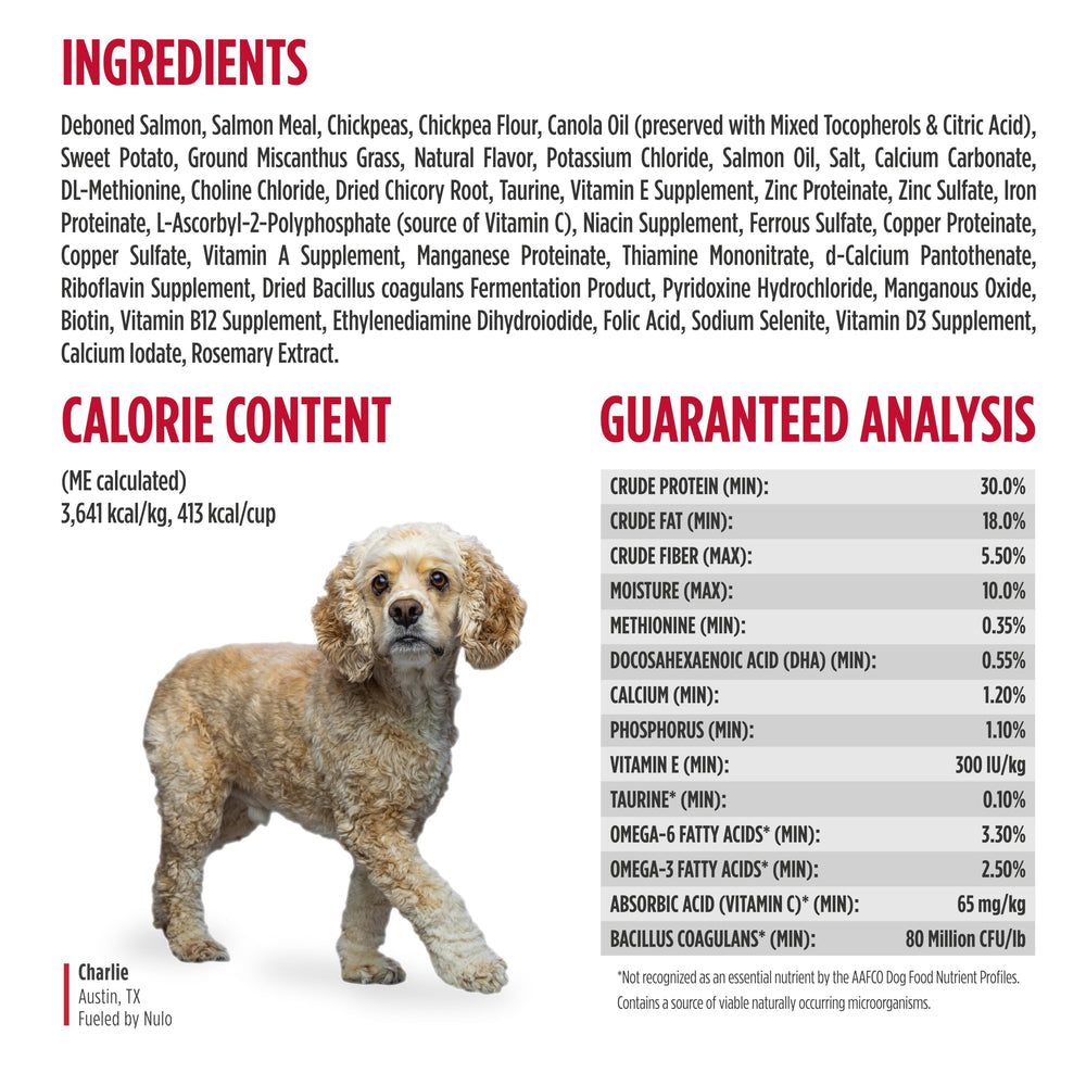 Nulo FreeStyle zoom sur texture des croquettes favorisant mastication et absorption