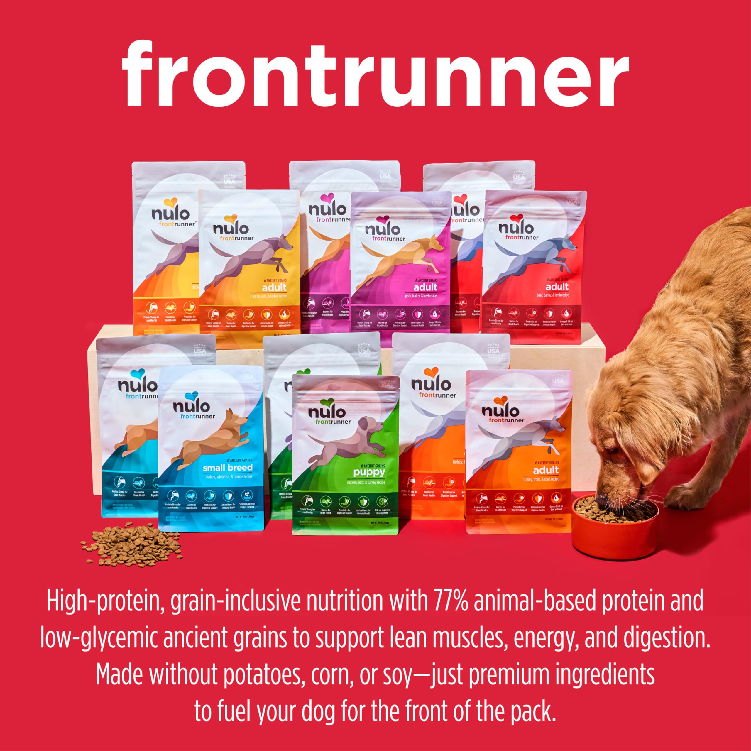 Nulo Frontrunner étiquette nutritionnelle détails protéines et DHA