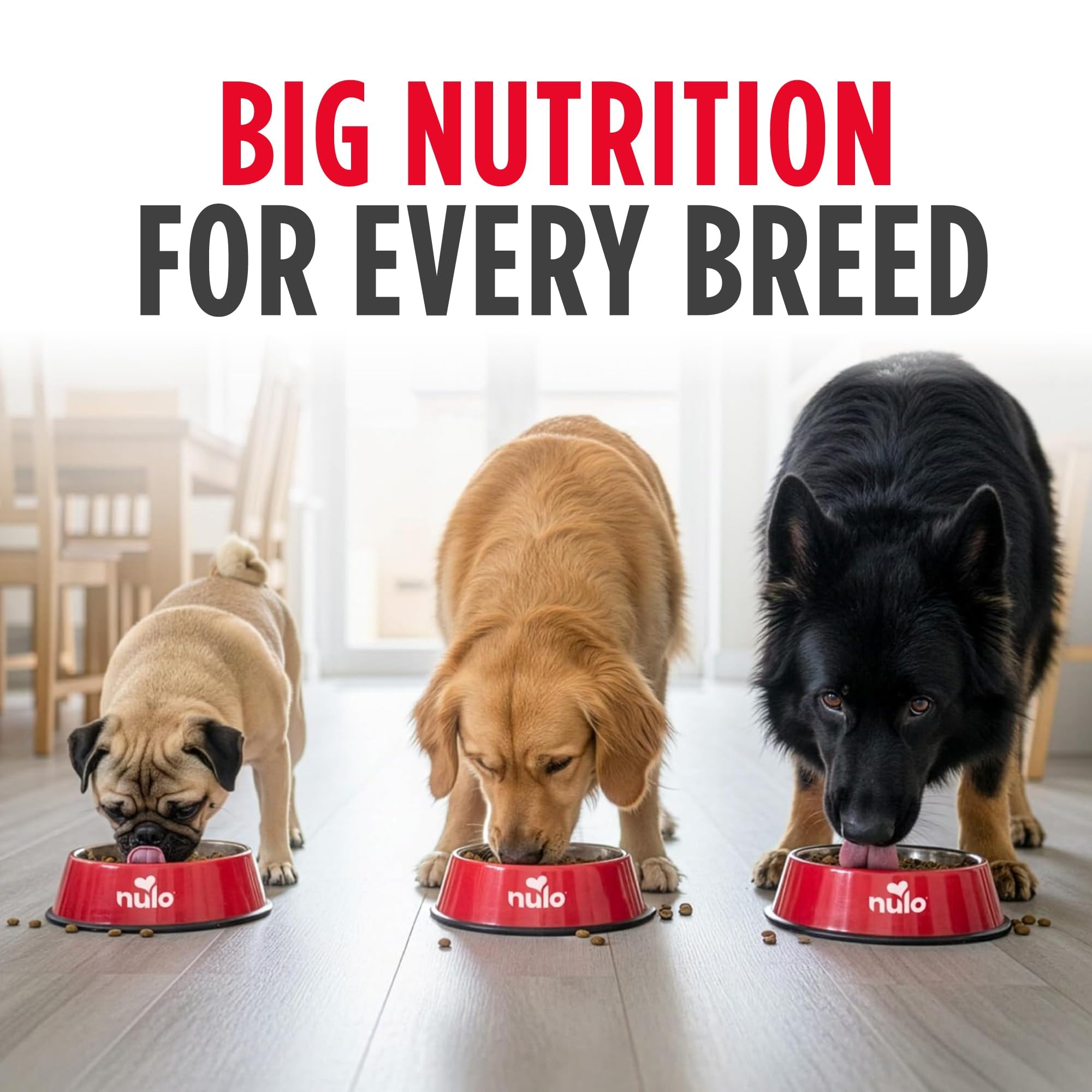 Nulo comparaison de portion montrant quantité adaptée par poids du chien