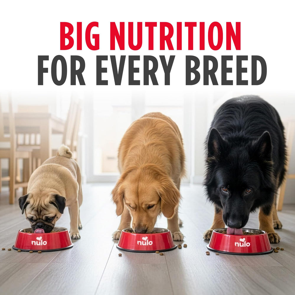 Nulo comparaison de portion montrant quantité adaptée par poids du chien