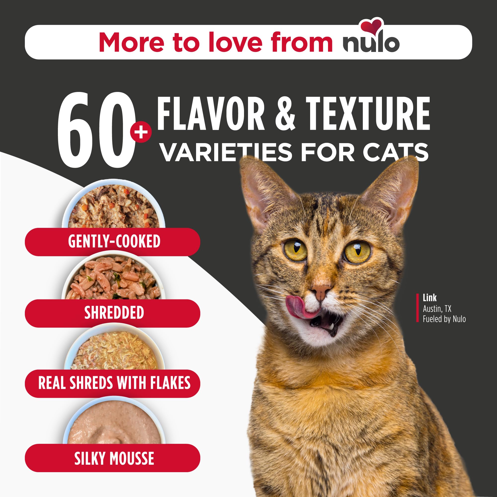Nulo chat mangeant la pâté illustrant appétence et acceptation