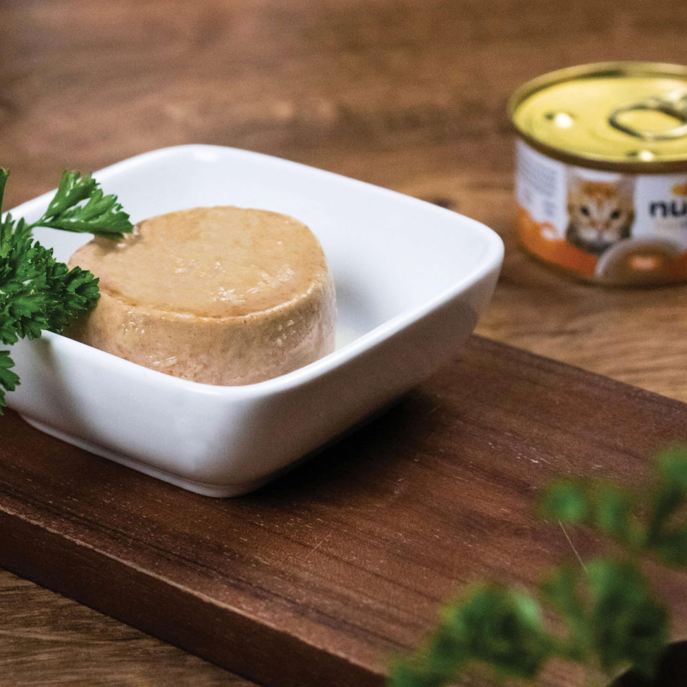 Nulo démonstration d'ouverture montrant le service rapide et pratique