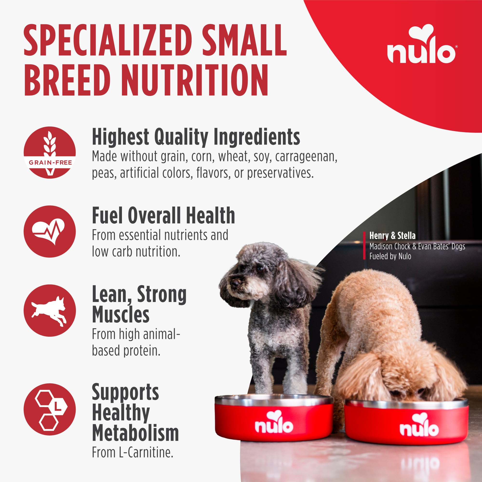 Nulo comparaison taille de la coupelle pour petits chiens, portion contrôlée