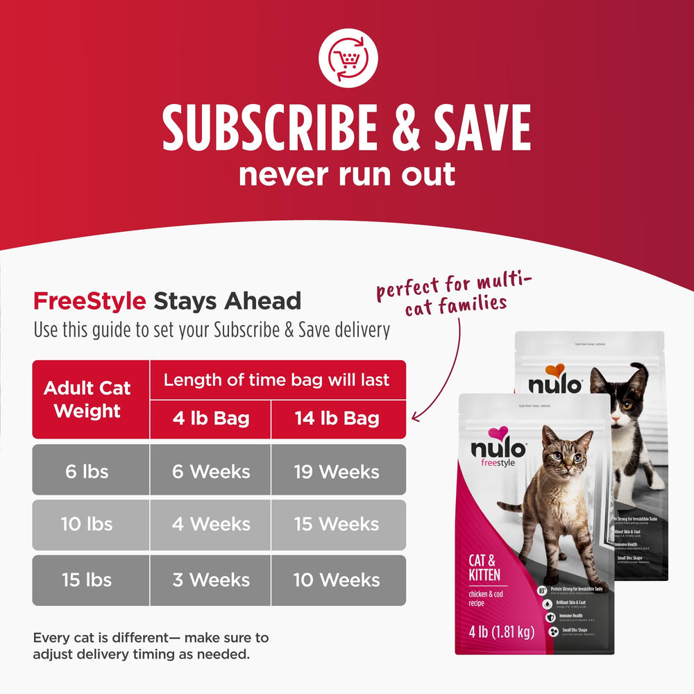 Nulo style de vie chat jouant après repas illustrant énergie et vitalité
