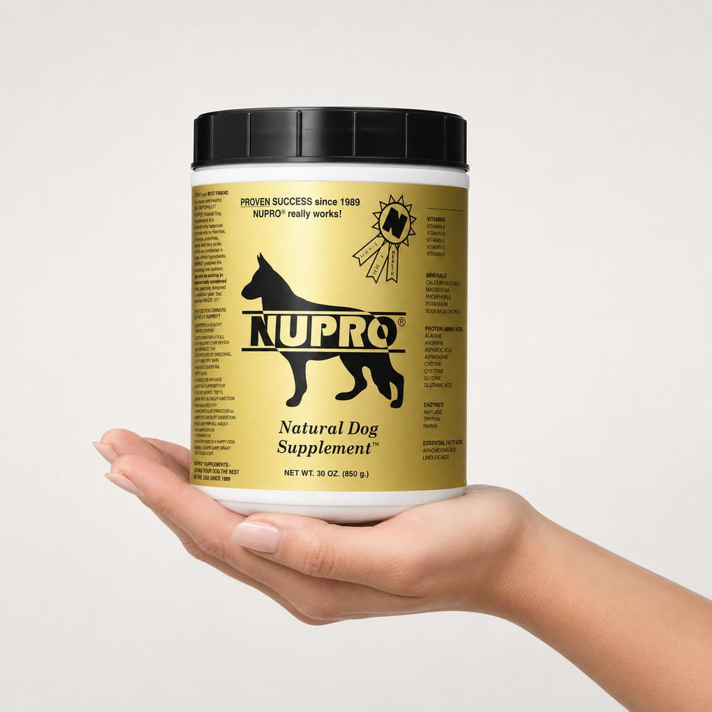 Chien au poil brillant après utilisation de Nupro témoignant d'un pelage sain