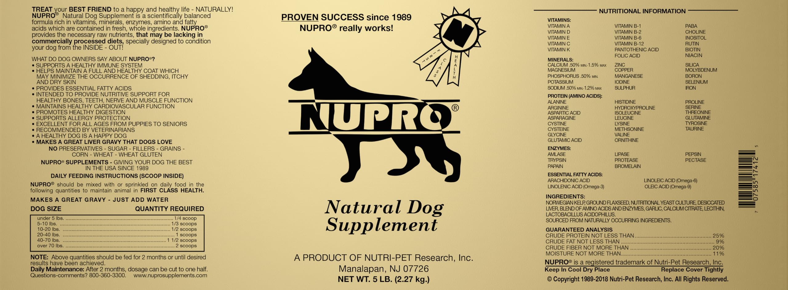 Nupro chien mange dans son bol avec meilleur appétit