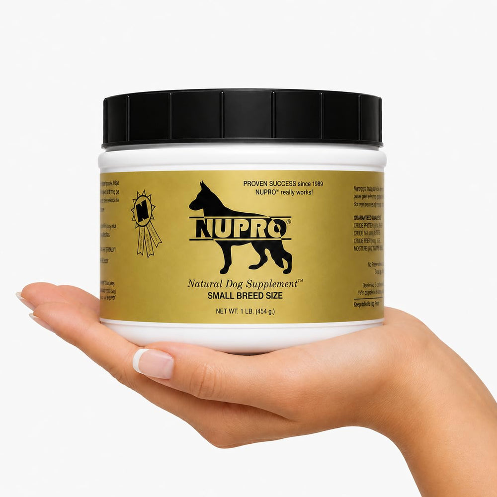 NUPRO pelage brillant avant-après démontrant amélioration visible