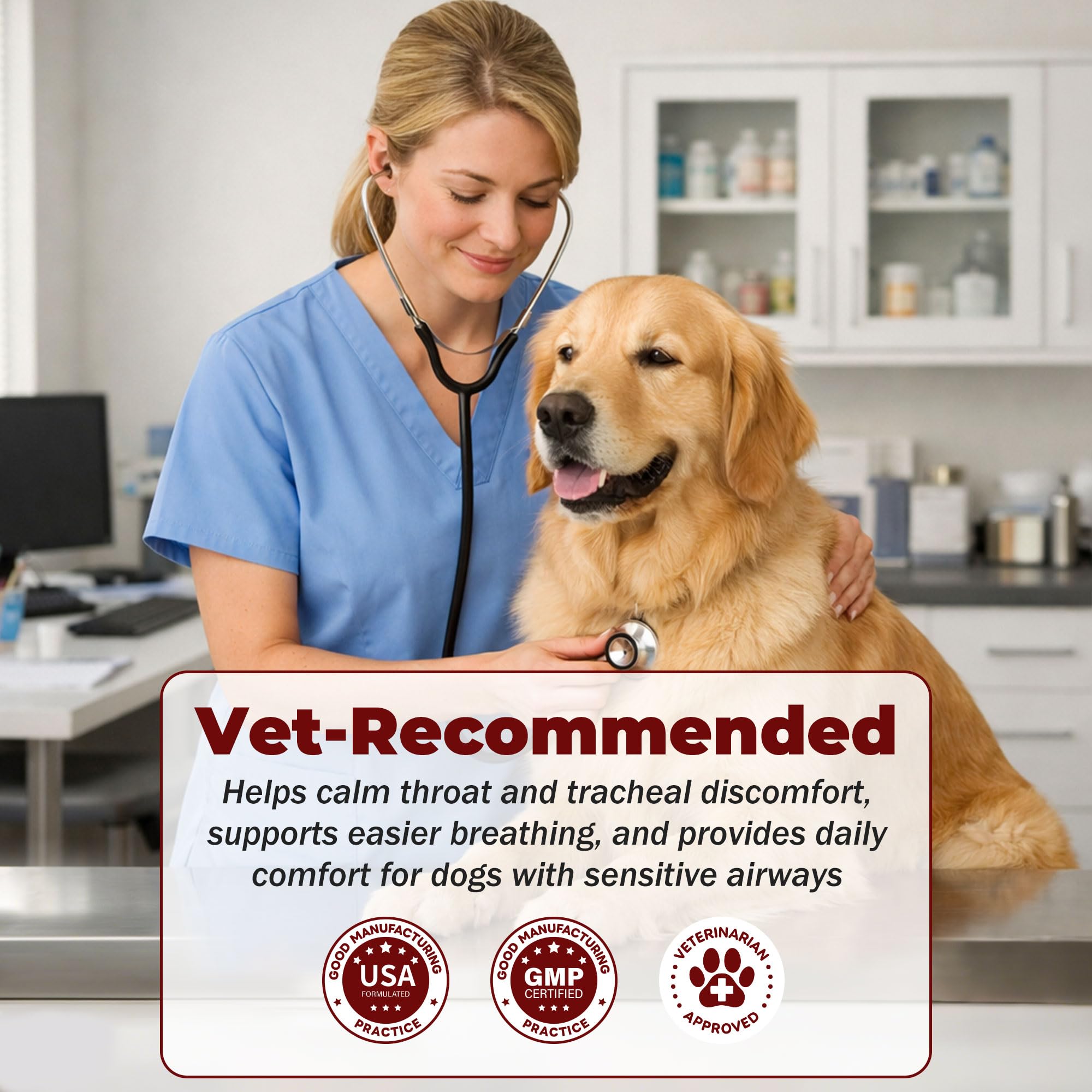 NutraLexion scène de vie quotidienne chien heureux après administration pour confort respiratoire