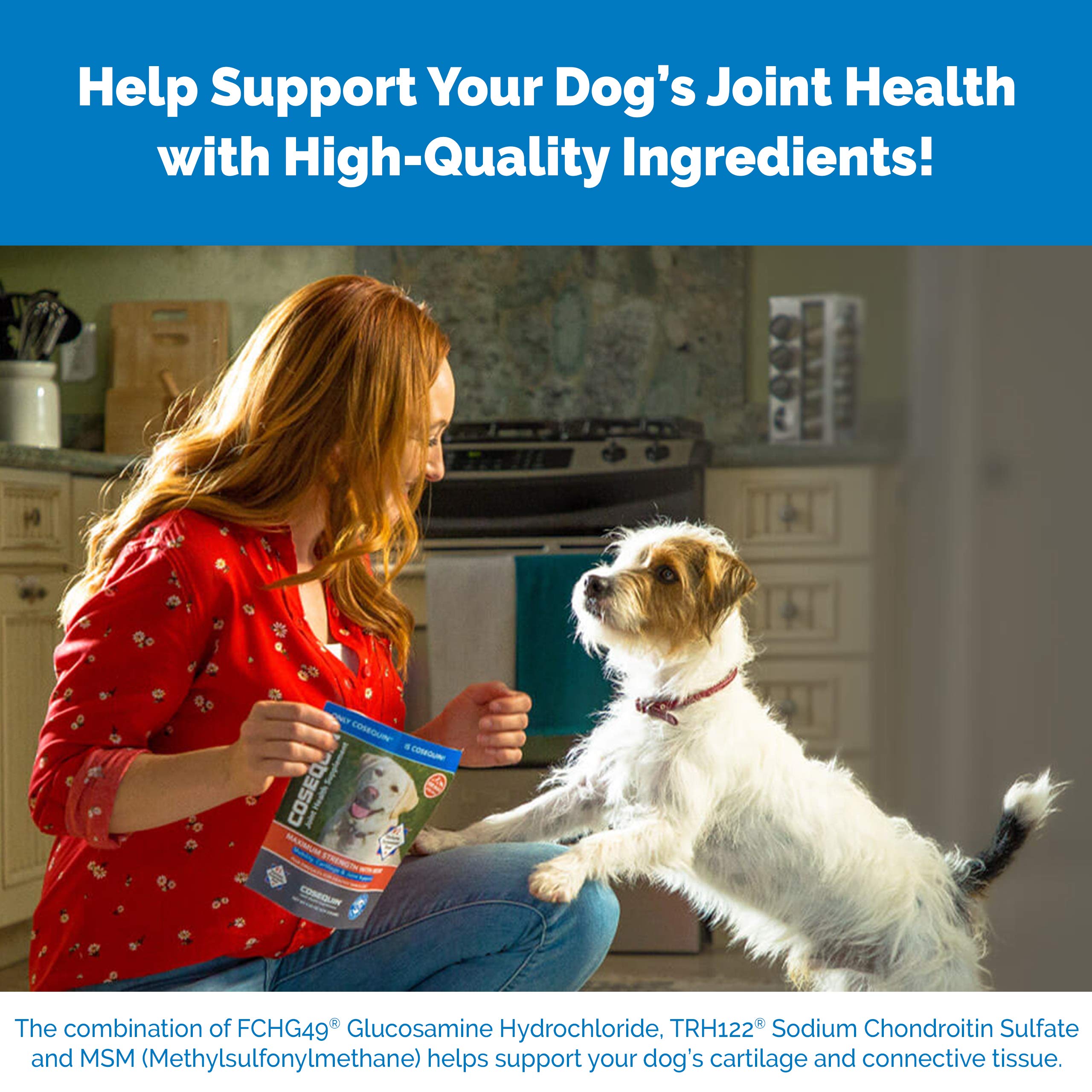 Nutramax Cosequin animaux actifs chien et chat jouant, bénéfice soutien mobilité quotidienne