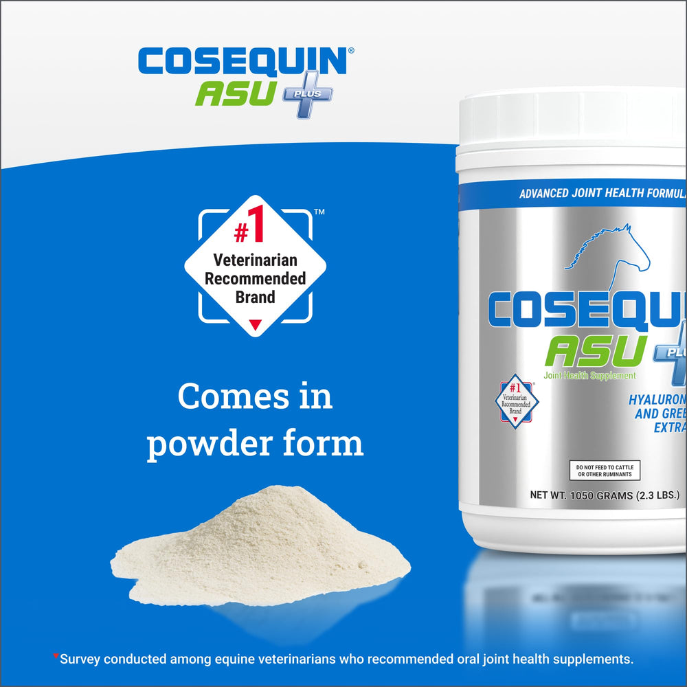 Nutramax Cosequin ASU Plus cheval en entraînement illustrant soutien de performance