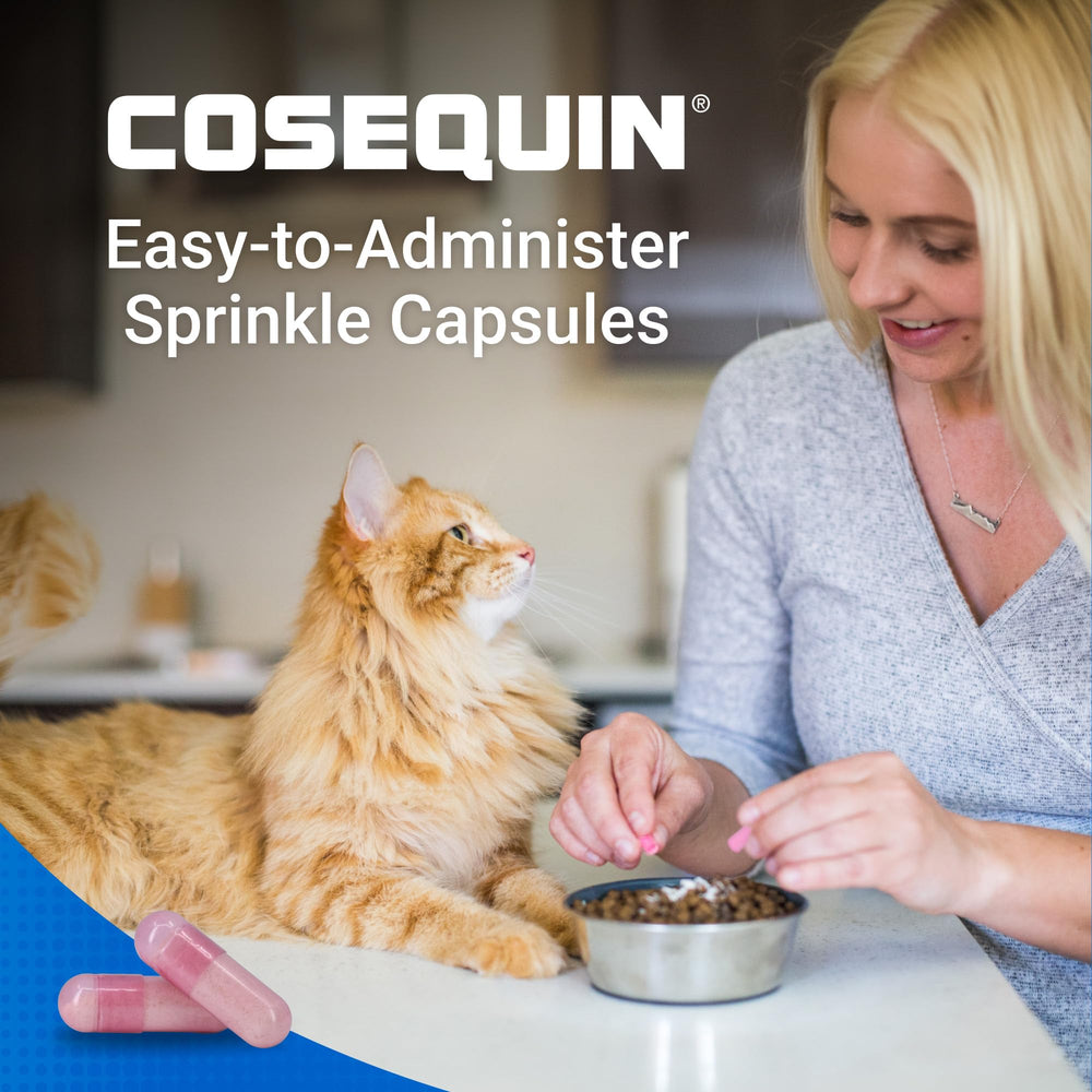 Chat mangeant nourriture saupoudrée Nutramax Cosequin pour mobilité