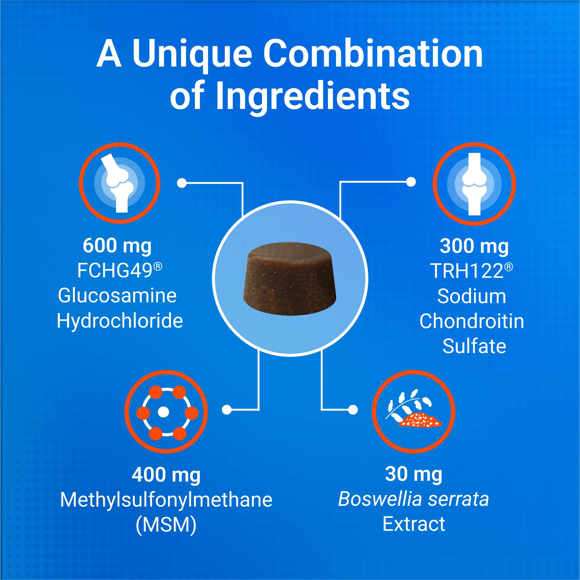 Nutramax Cosequin chien acceptant la friandise pour démontrer facilité d'utilisation