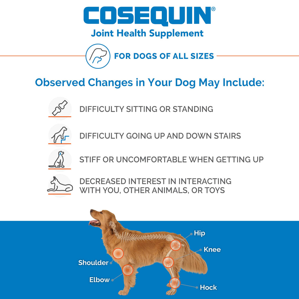 Nutramax Cosequin comparaison de taille de la gélule pour petits chiens et chats, bénéfice adaptation pratique