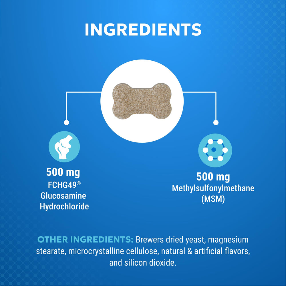 Chien acceptant un comprimé Cosequin Elements Nutramax, démontrant l’appétence et simplicité