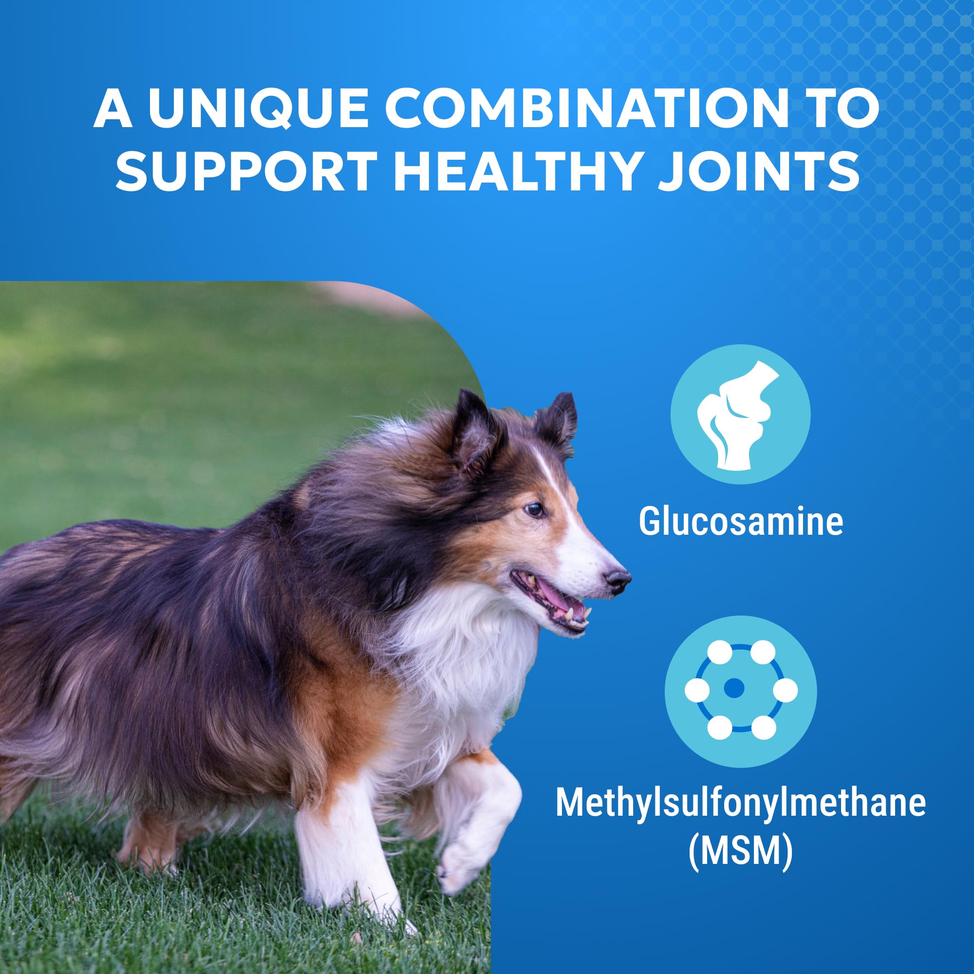 Détail de la surface d’un comprimé Cosequin Elements Nutramax révélant la finition appétente