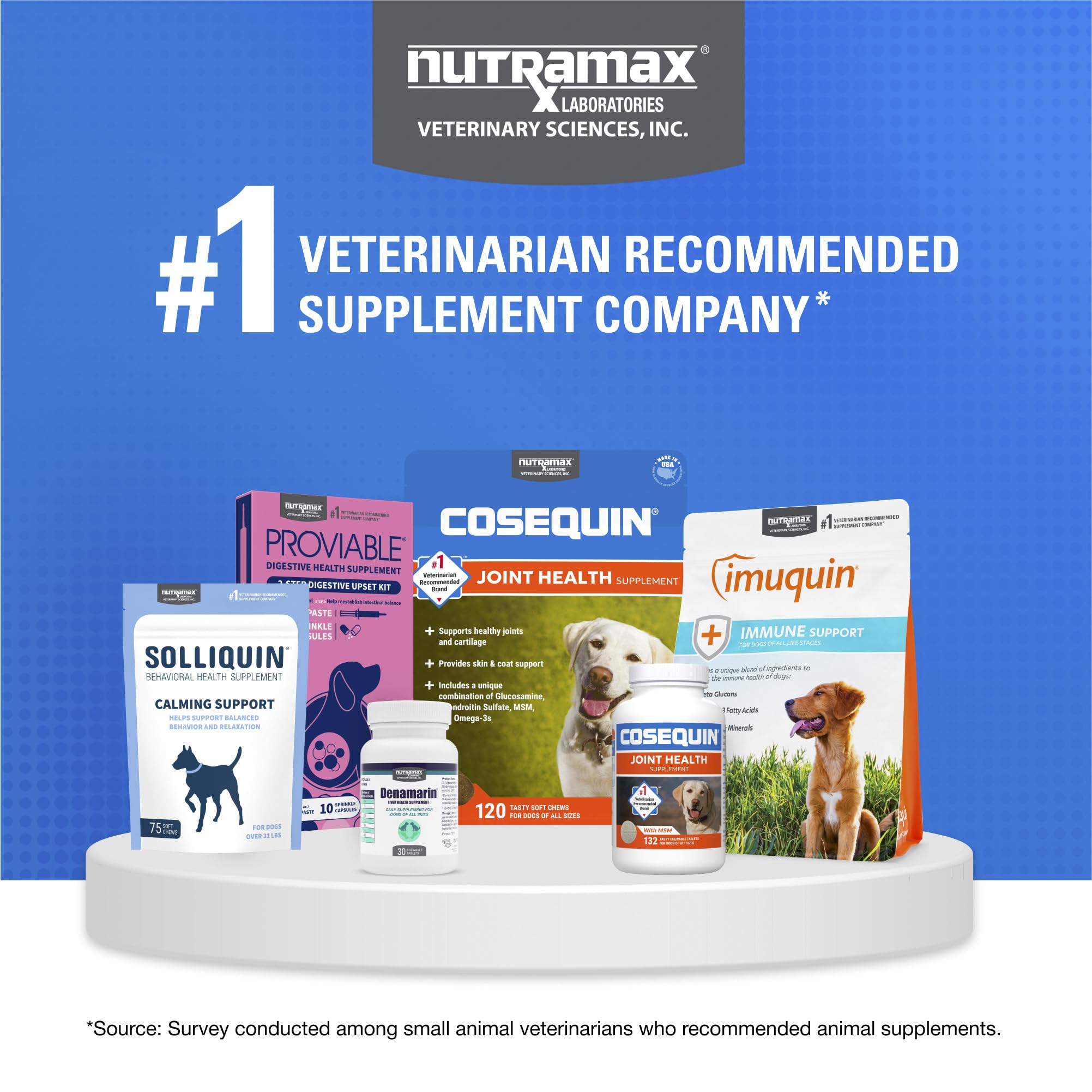 Gros plan sur la texture fine de la poudre Nutramax Cosequin pour un mélange homogène
