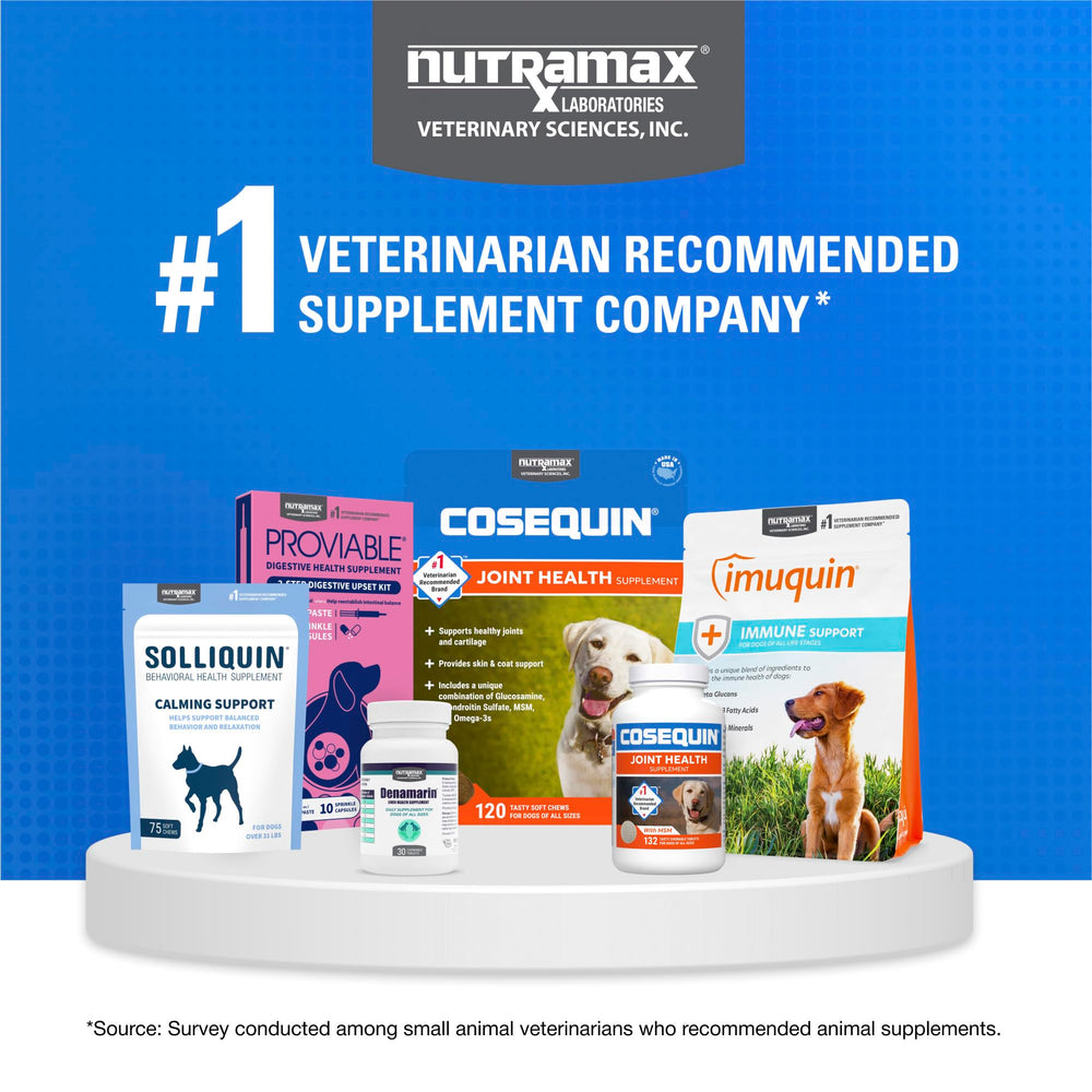Gros plan sur la texture fine de la poudre Nutramax Cosequin pour un mélange homogène