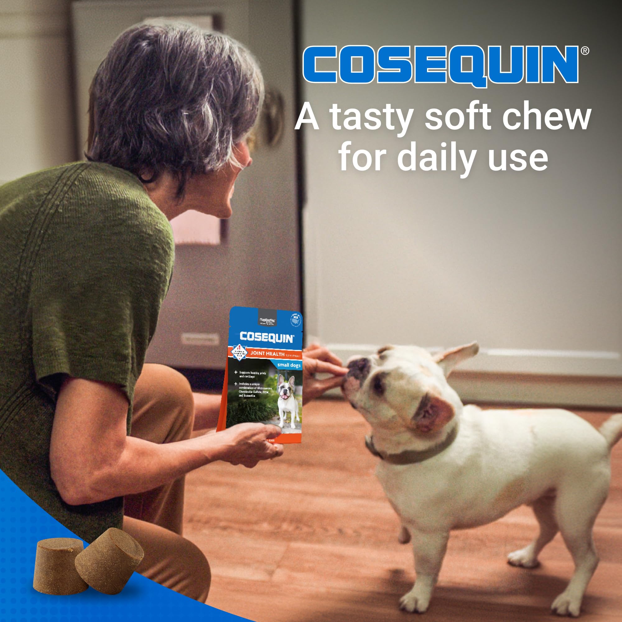 Nutramax Cosequin Minis mastics donnés à un petit chien en action, praticité pour les propriétaires actifs