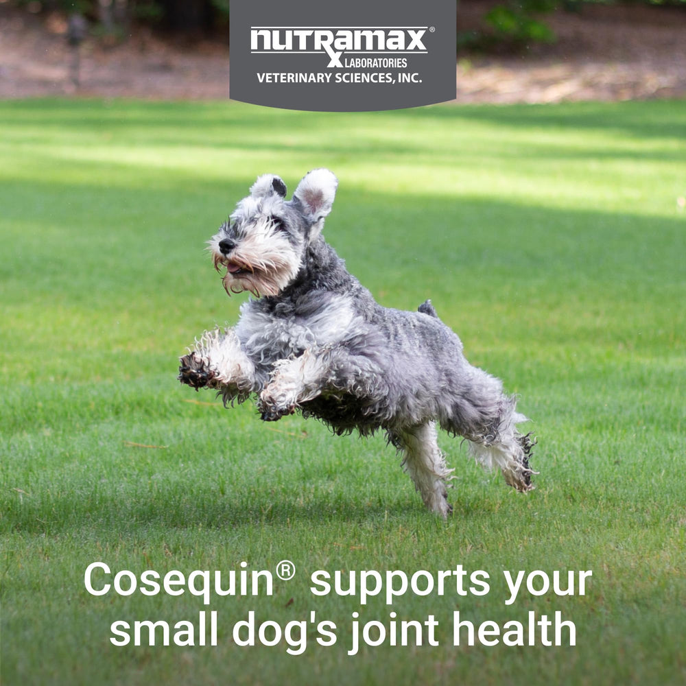 Nutramax Cosequin Minis composition listée montrant glucosamine, chondroïtine et Boswellia, transparence des ingrédients