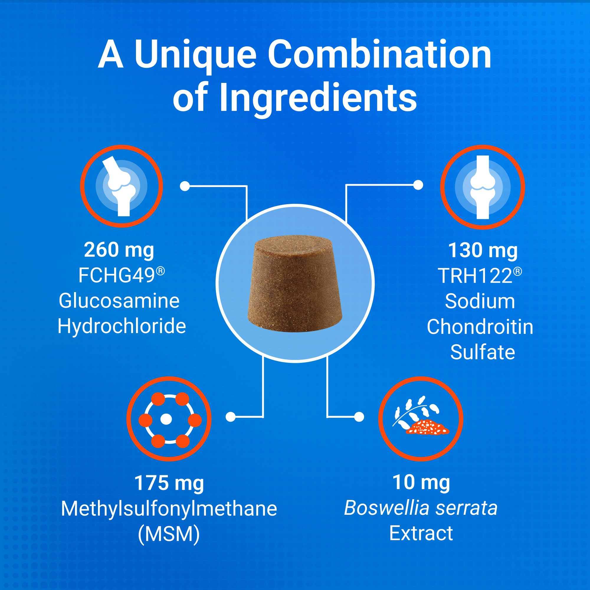 Nutramax Cosequin Minis comparaison de taille près d’une patte de petit chien, dosage adapté aux petites races