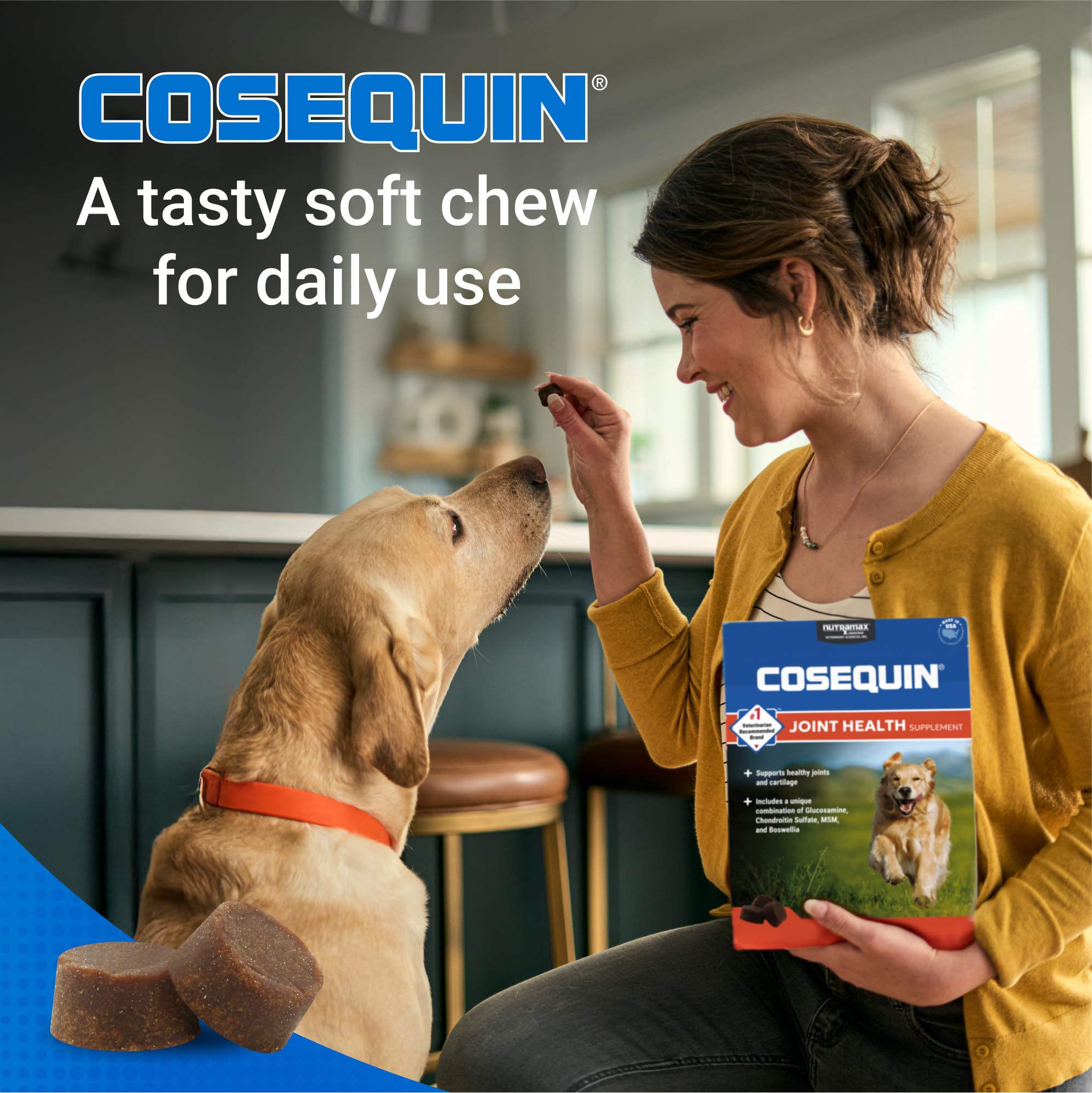 Nutramax Cosequin pastille dans la main pour comparer taille et facilité d'administration