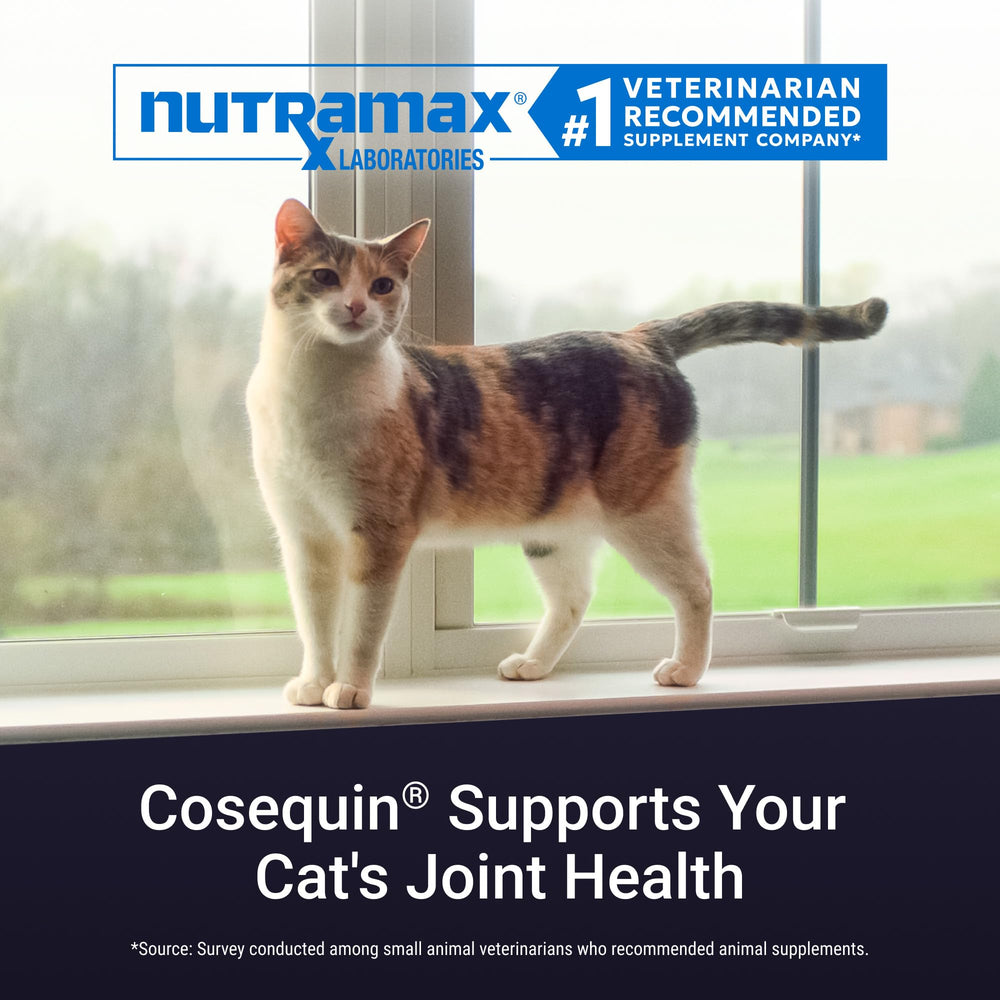 Nutramax Cosequin poudre saupoudrée sur pâtée pour acceptation aisée