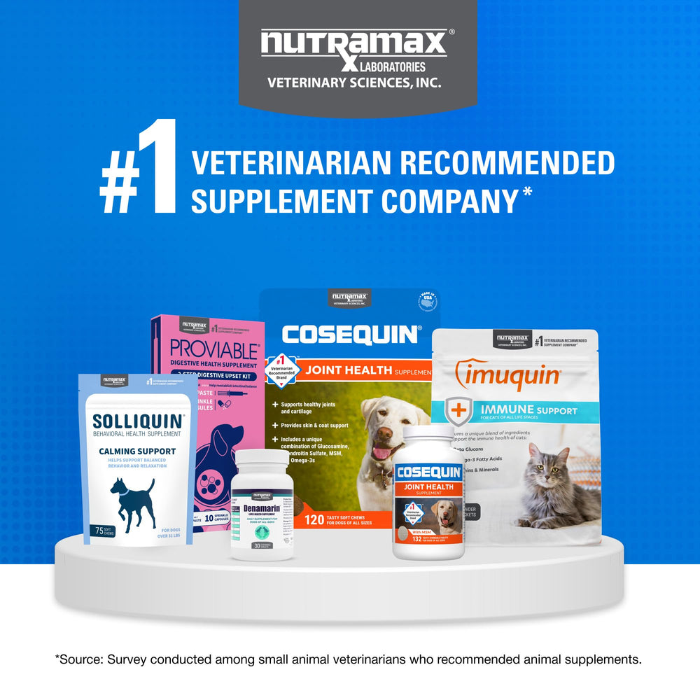 Nutramax Cosequin scène de vie chien actif au jardin soutien mobilité
