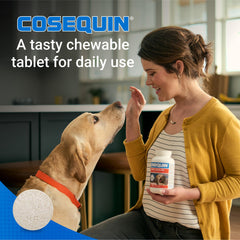 Nutramax Cosequin tablette texture détaillée facilite acceptation quotidienne