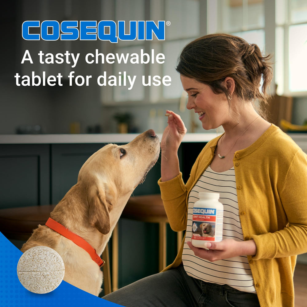Nutramax Cosequin tablettes dans un bol illustrant administration quotidienne simple