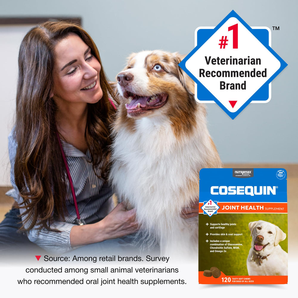 Nutramax Cosequin comparaison de taille d’un chew à une main pour repère visuel