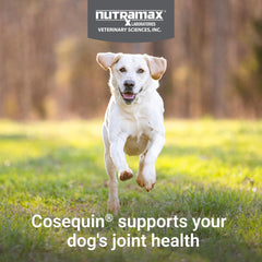 Nutramax Cosequin détail de texture du chew montrant souplesse pour chiens