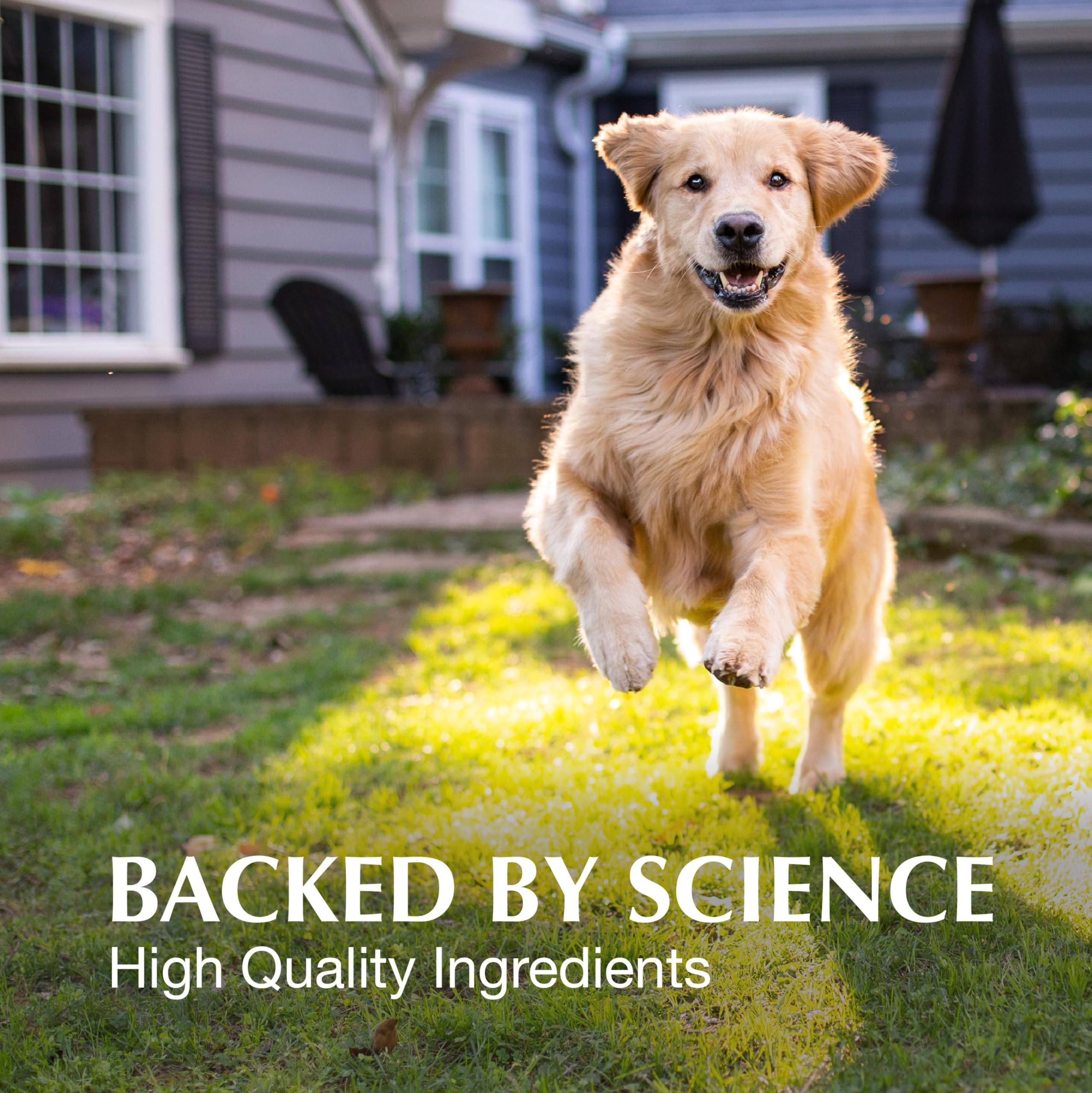 Chien prenant un comprimé Crananidin à mâcher Nutramax favorisant l'administration aisée
