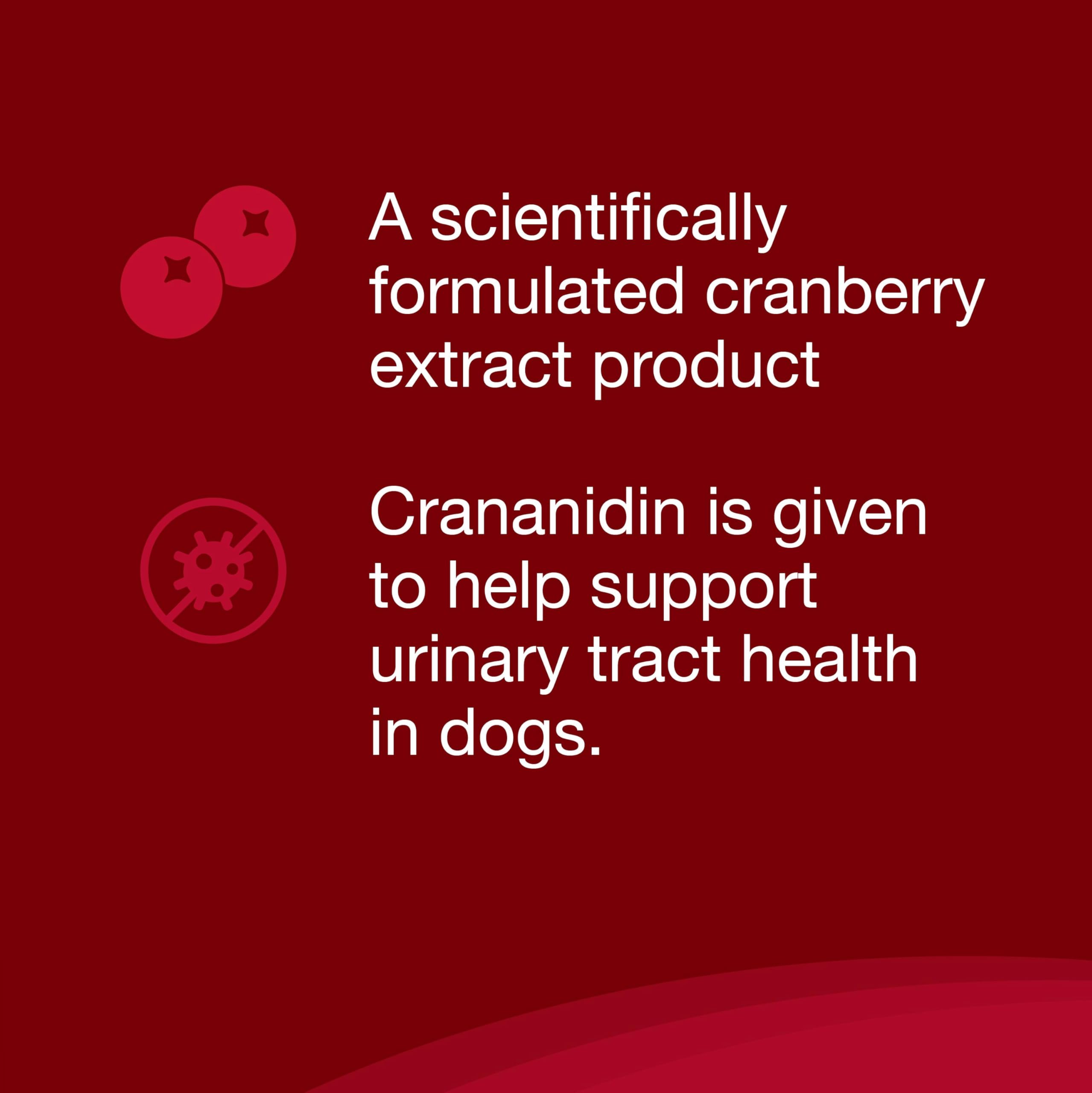 Détail de l'étiquette Nutramax Crananidin indiquant ingrédients et informations produit