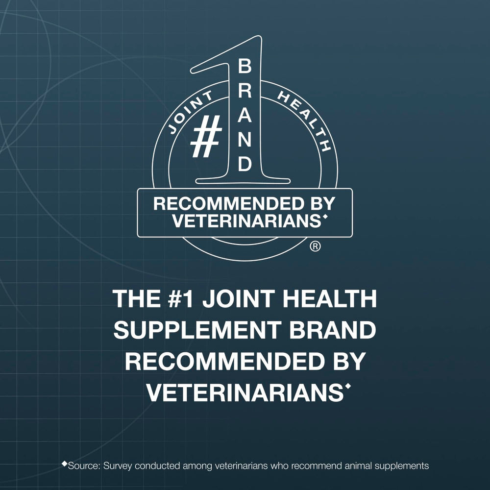Nutramax Dasuquin gros plan texture de la friandise appétente