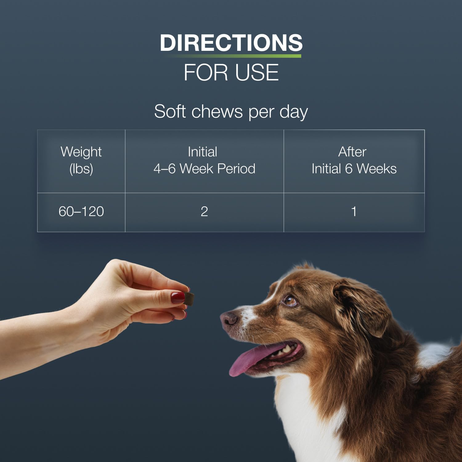Chien senior bénéficiant de Dasuquin Nutramax pour une mobilité retrouvée