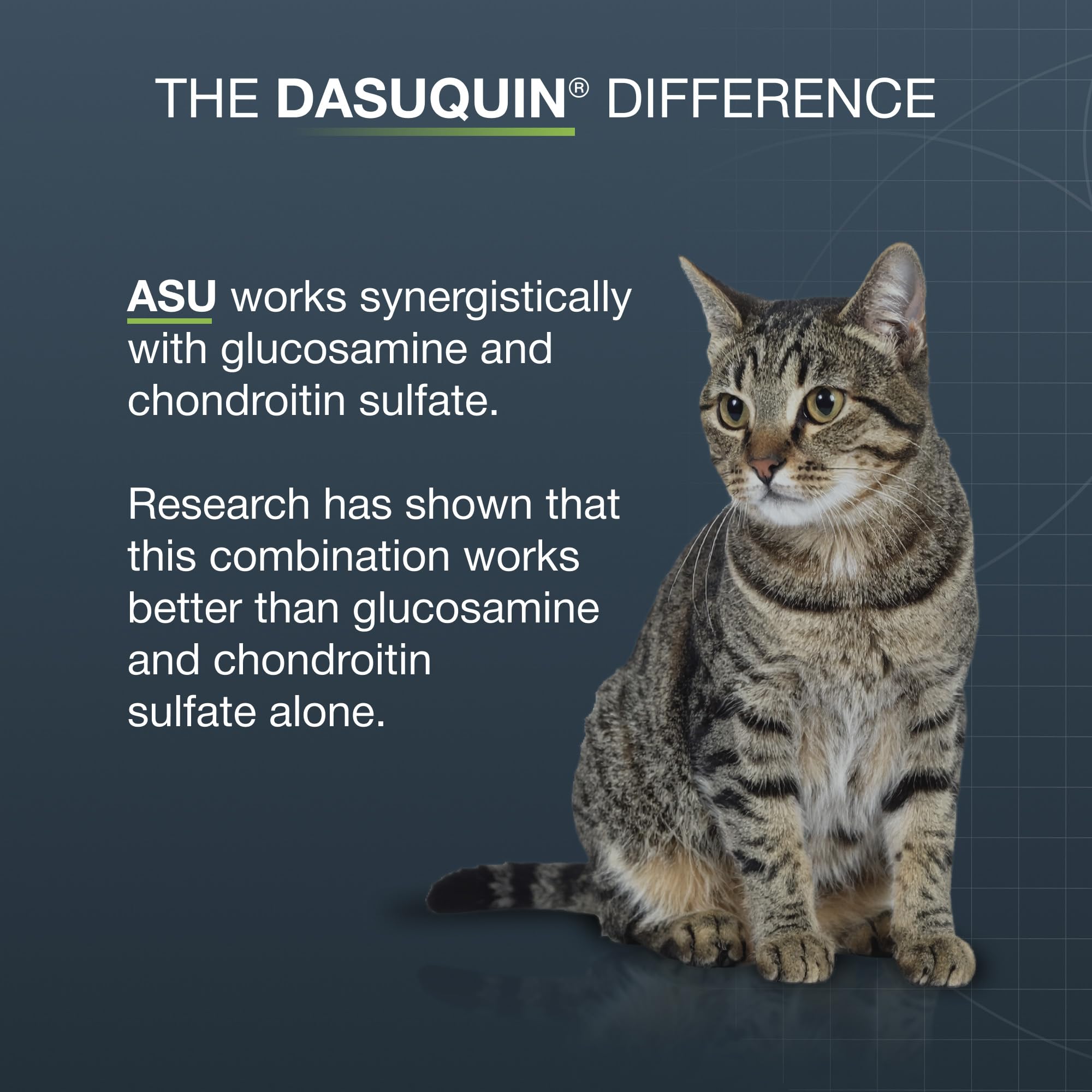 Nutramax Dasuquin comparaison taille avec chat démontrant échelle pratique