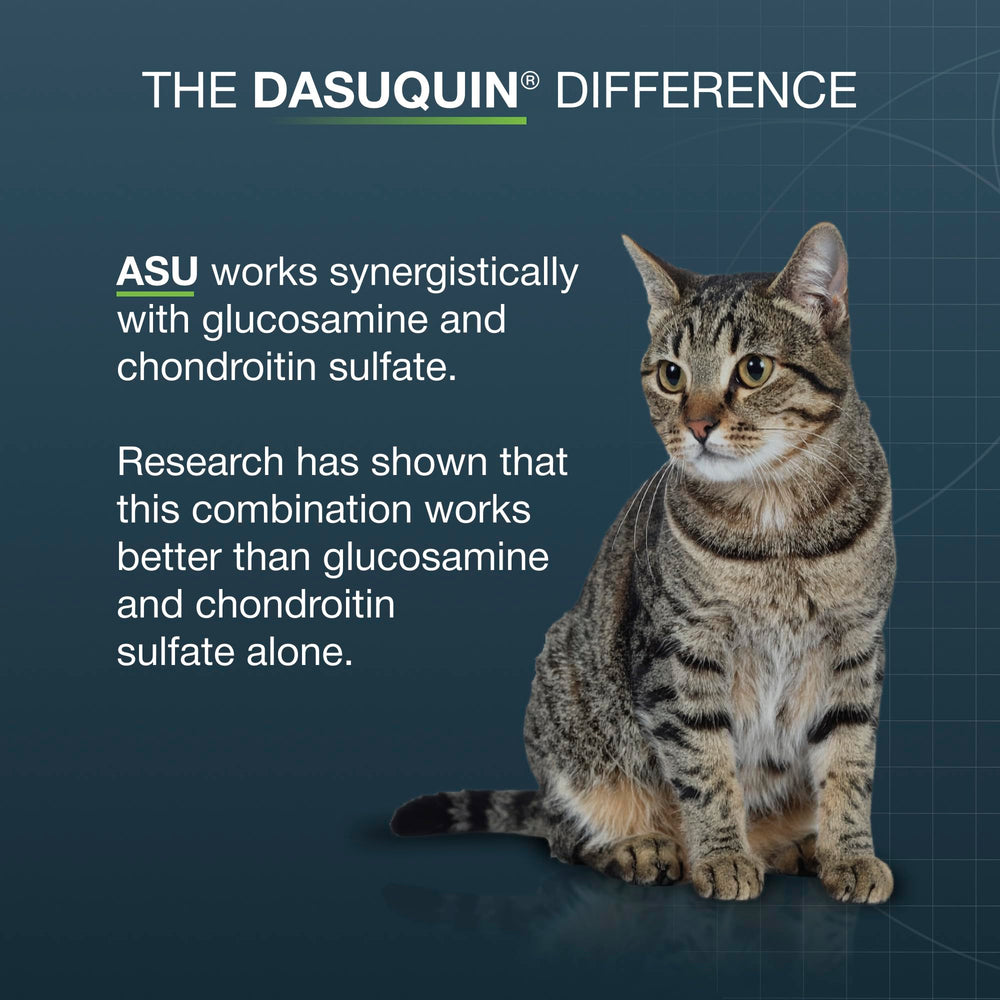Nutramax Dasuquin comparaison taille avec chat démontrant échelle pratique