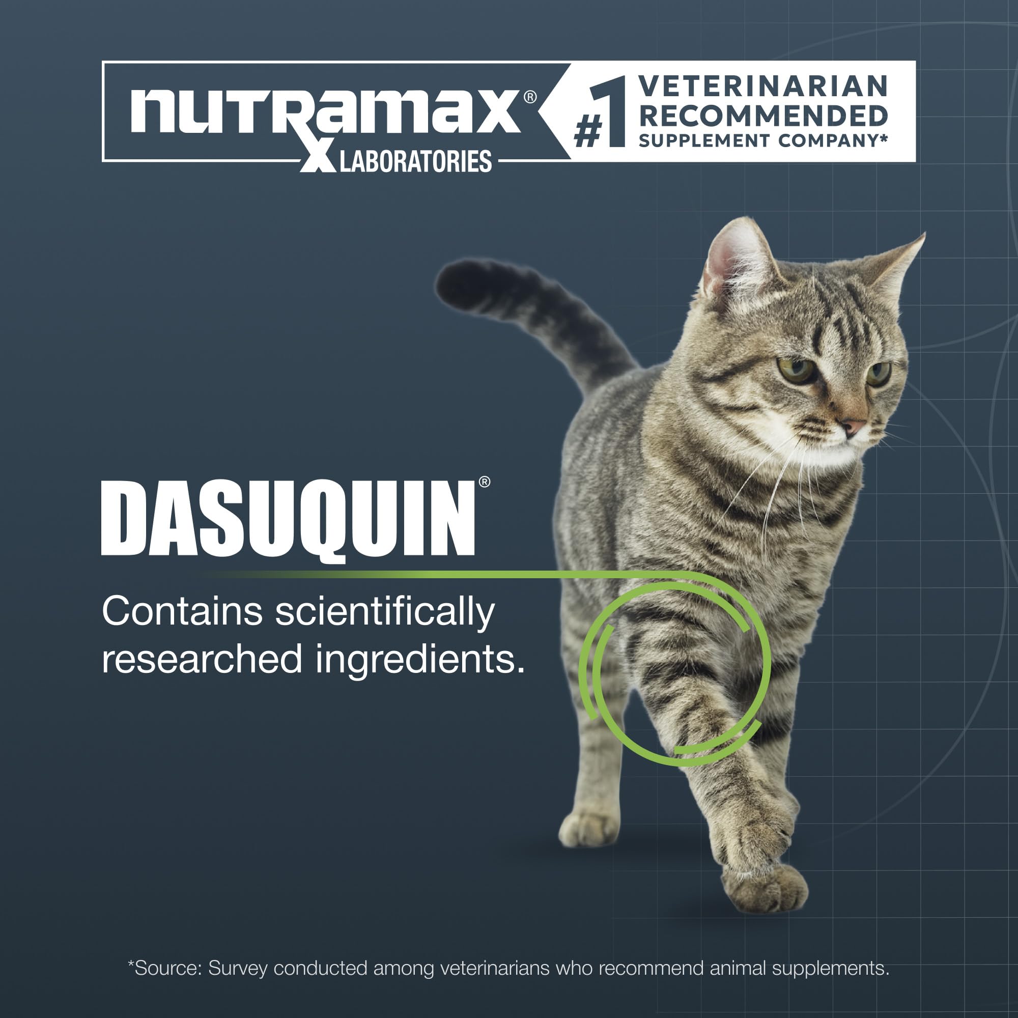 Nutramax Dasuquin friandise tenue en main facilitant la distribution