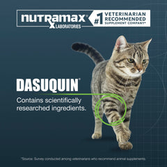 Nutramax Dasuquin friandise tenue en main facilitant la distribution