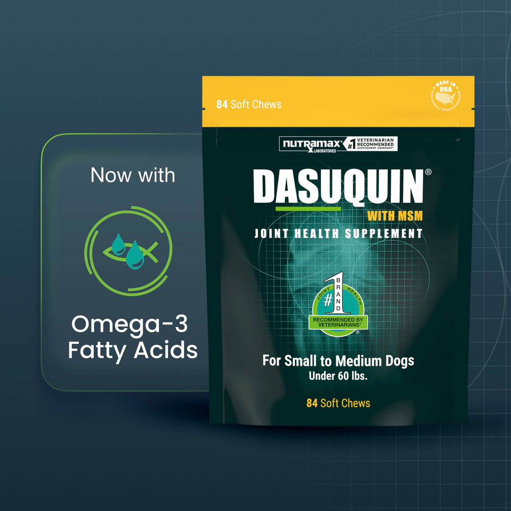 Nutramax Dasuquin mastiquables gros plan montrant texture et appétence